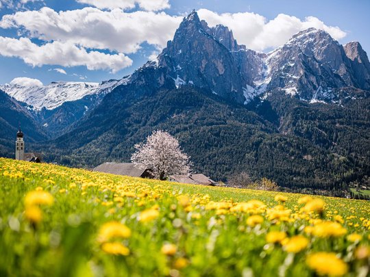 Escursioni a Siusi allo Sciliar e tanto altro Escursioni a Siusi allo Sciliar e tanto altro