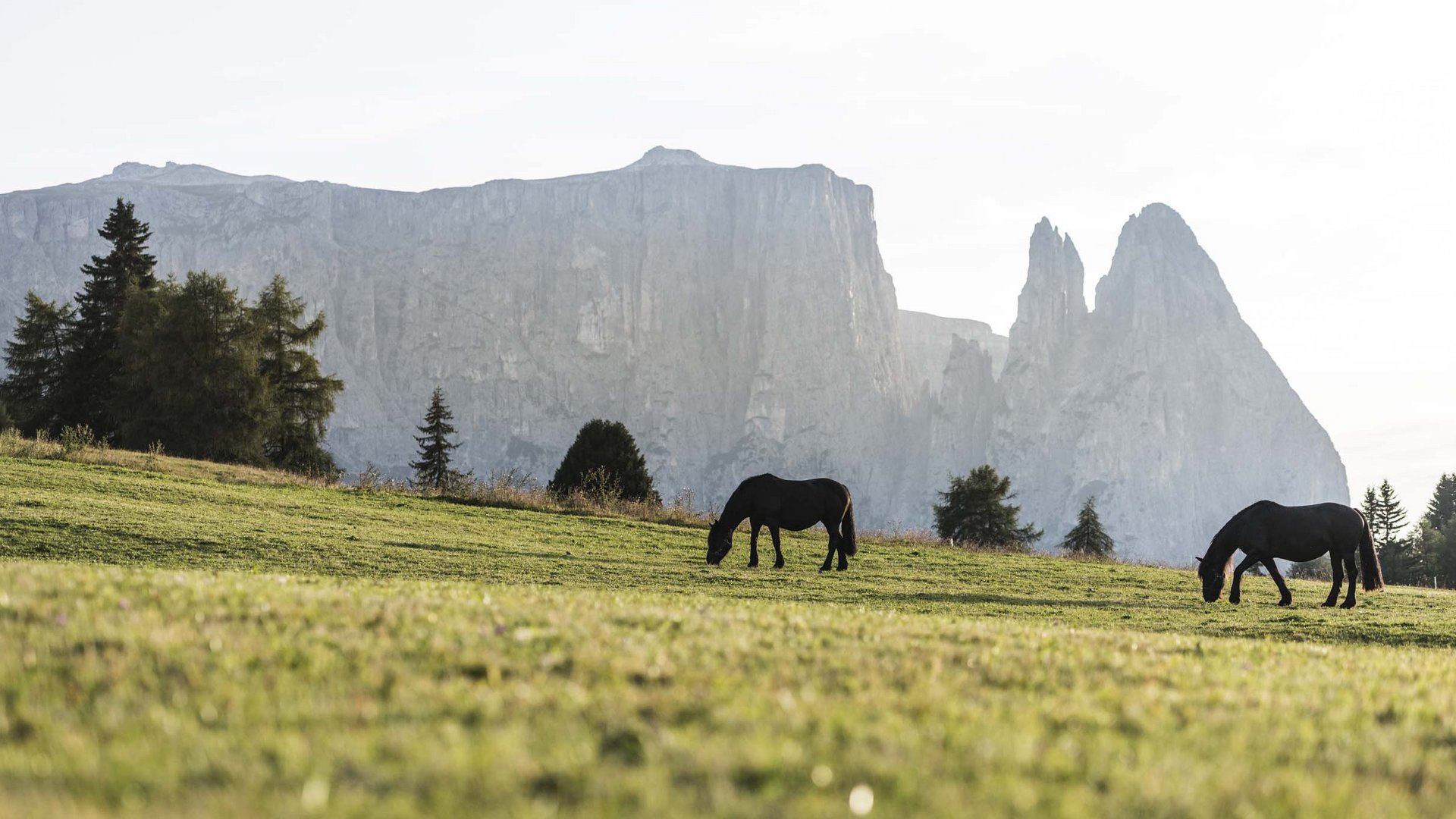 Escursioni sullo Sciliar Escursioni sullo Sciliar