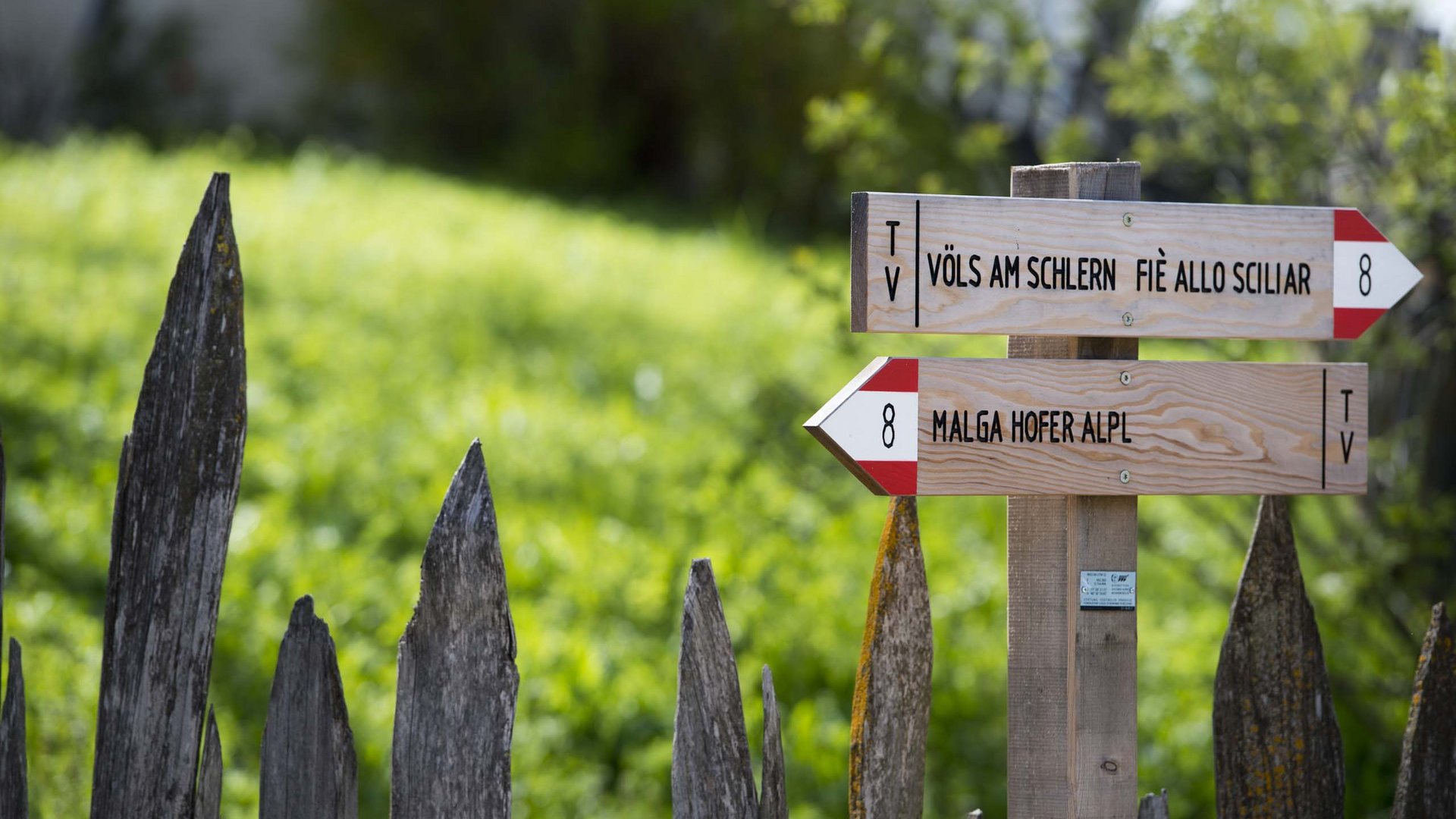 L’Alpe di Siusi in bici? Un sogno! L’Alpe di Siusi in bici? Un sogno!