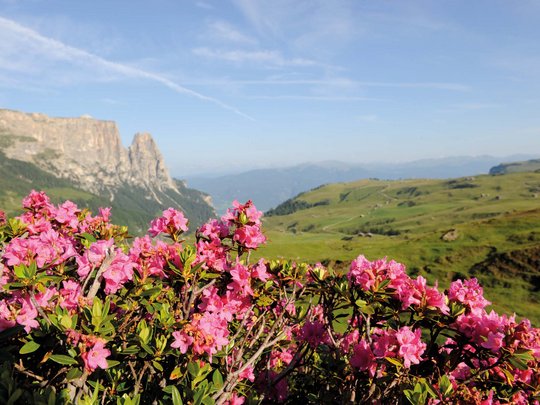 Escursioni sullo Sciliar Escursioni sullo Sciliar